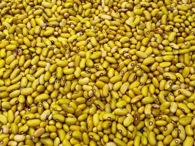 500g Yellow Beans