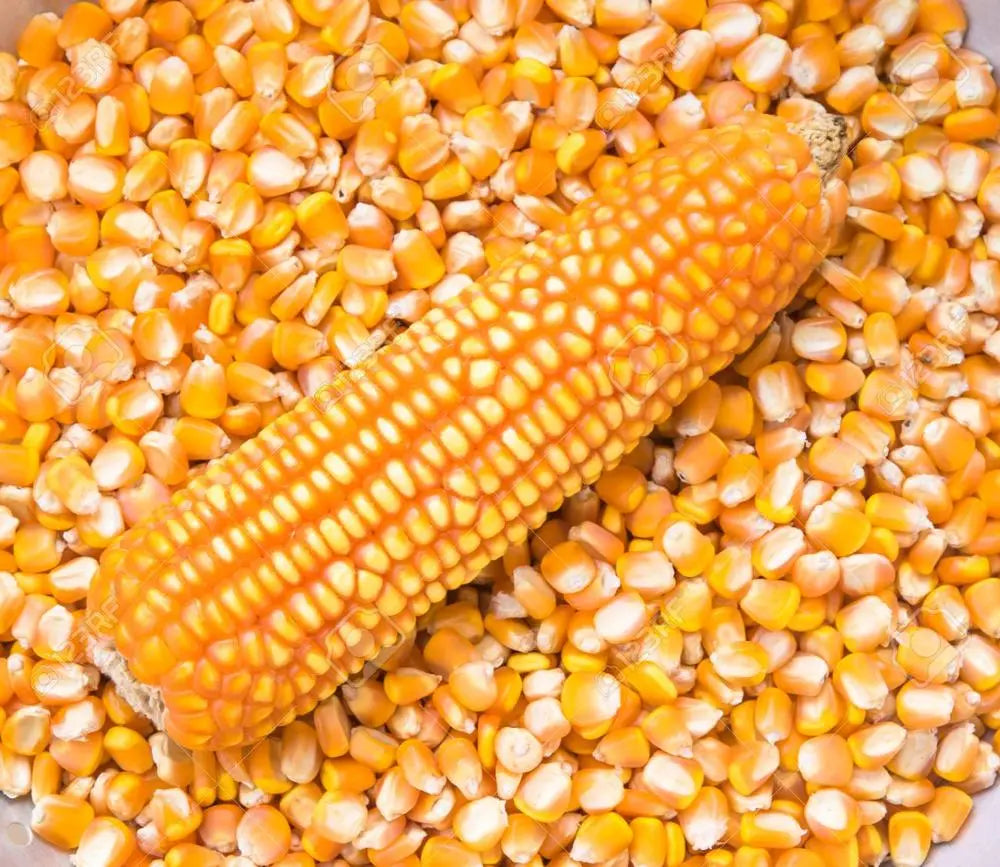 2KG Whole Yellow Maize Flour